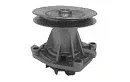 BGA CP2596 — Water Pump, engine cooling