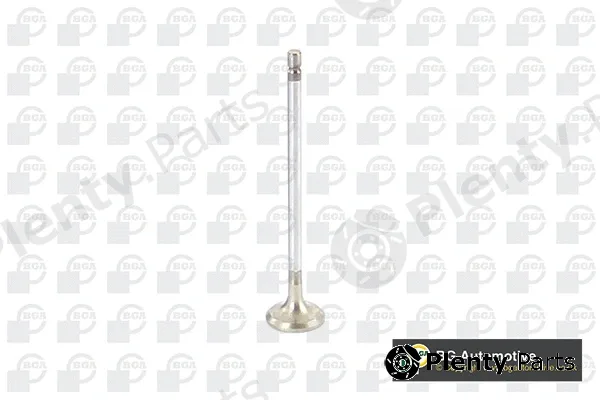 BGA V612091 — Exhaust Valve