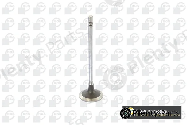 BGA V222531 — Intake Valve
