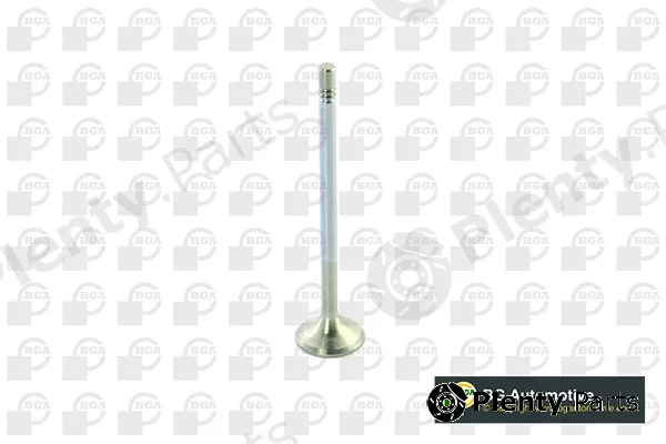 BGA V560010 — Exhaust Valve