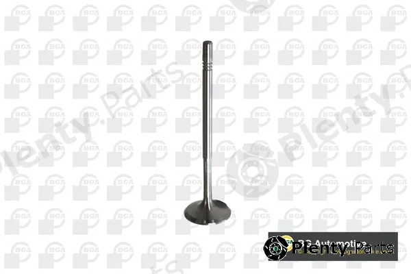 BGA V560013 — Intake Valve
