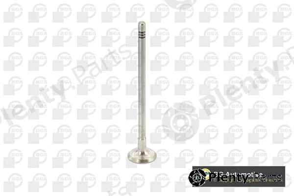 BGA V737875 — Exhaust Valve