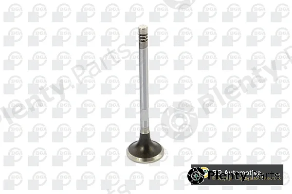 BGA V424832 — Exhaust Valve