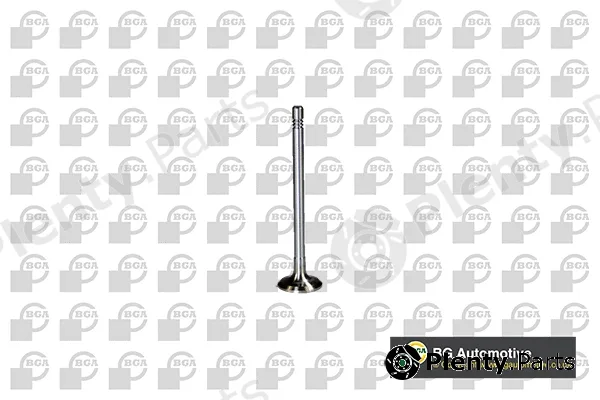 BGA V560012 — Exhaust Valve