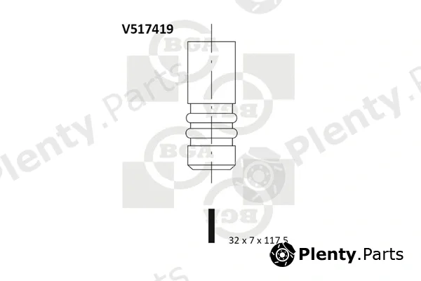 BGA V517419 — Intake Valve