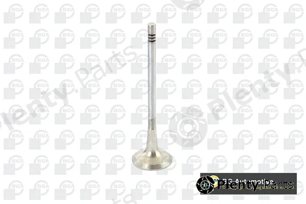 BGA V229667 — Exhaust Valve