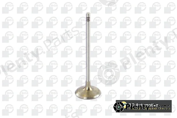 BGA V090104 — Intake Valve