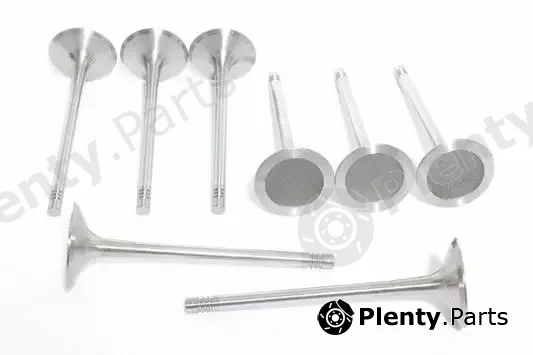 Alanko 10998011 — Intake Valve