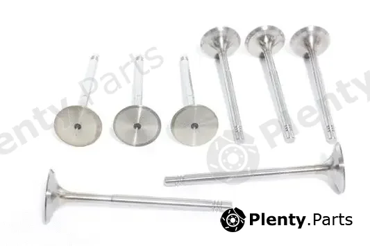 Alanko 10998014 — Intake Valve