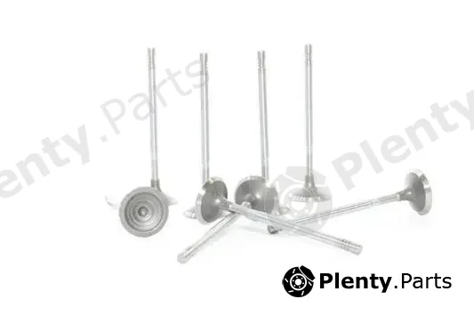 Alanko 10998013 — Intake Valve