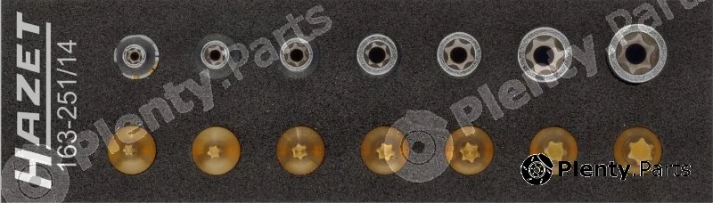 Hazet 163-251/14 — Tool Set