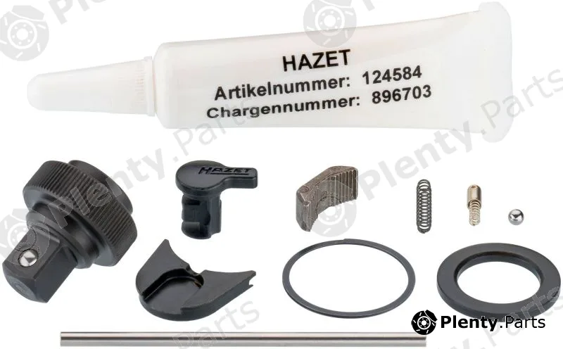 Hazet 863HP/11 — Repair Set, reversible ratchet