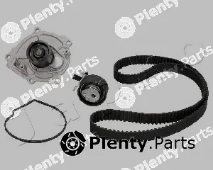 Japko SKJ905 — Water Pump & Timing Belt Kit
