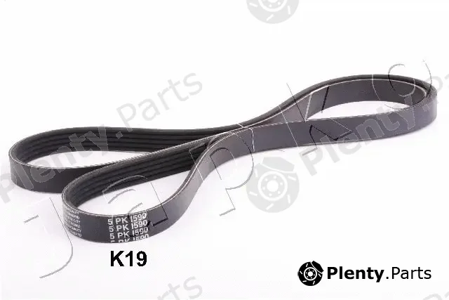 Japko 96K19 — V-Ribbed Belt