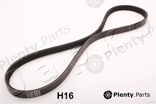 Japko 96H16 — V-Ribbed Belt