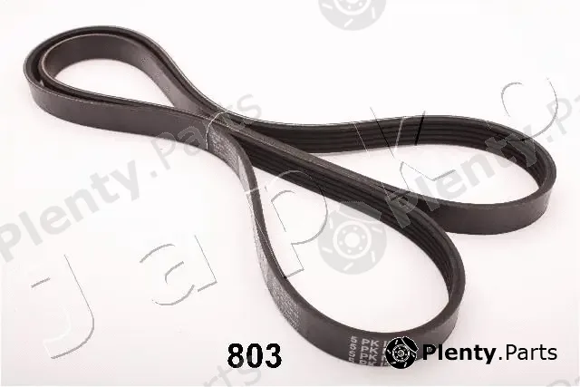 Japko 96803 — V-Ribbed Belt