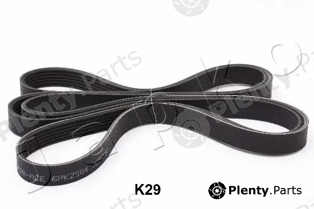 Japko 96K29 — V-Ribbed Belt