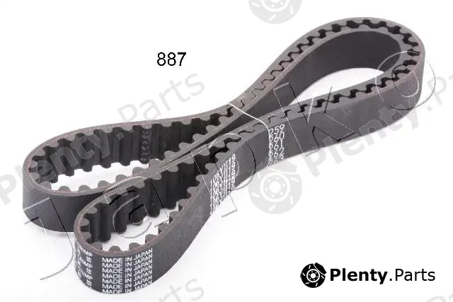 Timing Belt
