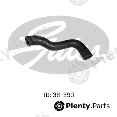 Gates-Au 05-0273 — Radiator Hose
