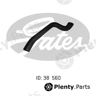 Gates-Au 05-0299 — Radiator Hose