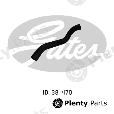 Gates-Au 05-0079 — Radiator Hose