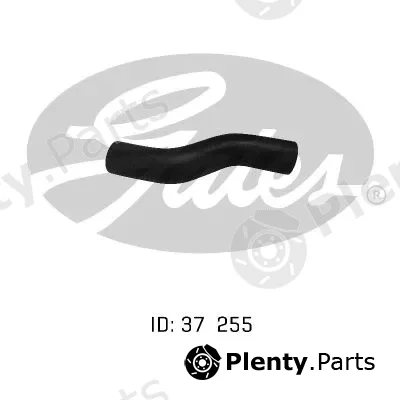 Gates-Au 05-0253 — Radiator Hose