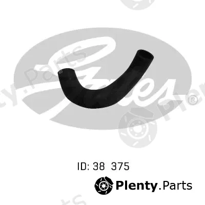 Gates-Au 05-0021 — Radiator Hose