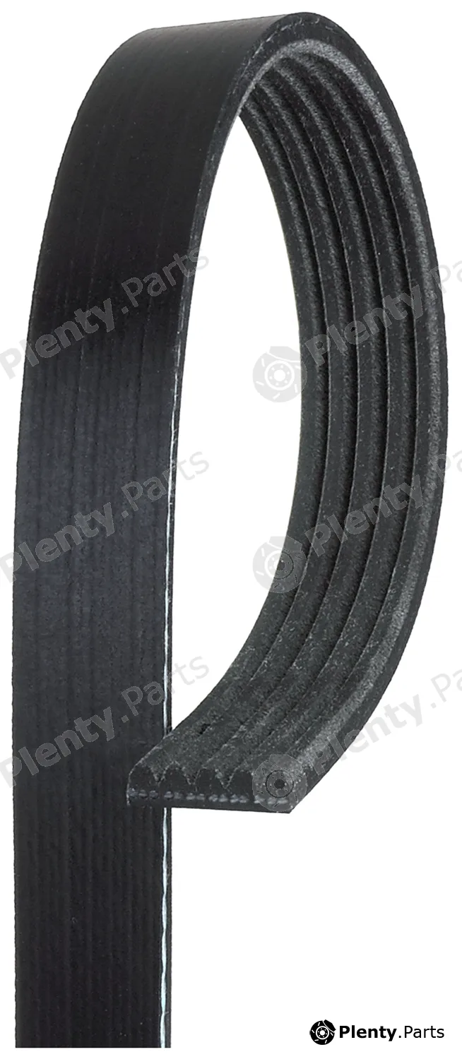 Gates-Au 5PK1525HD — V-Ribbed Belt