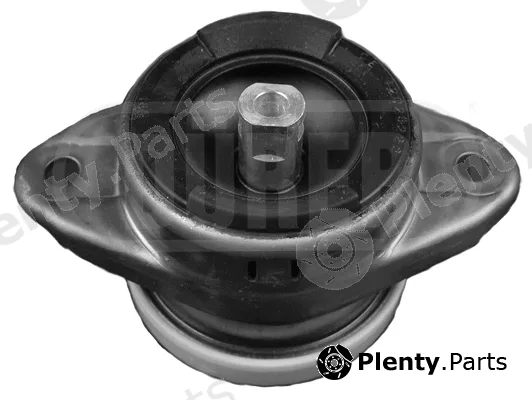 Dürer SM2021 — Mounting, engine