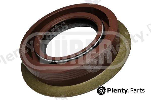 Dürer JB202165 — Shaft Seal, differential