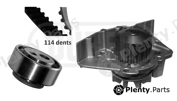 Dürer PA121054 — Water Pump & Timing Belt Kit