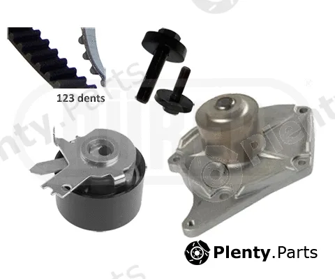 Dürer PA161106B — Water Pump & Timing Belt Kit