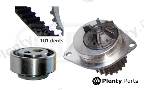Dürer PA321053 — Water Pump & Timing Belt Kit