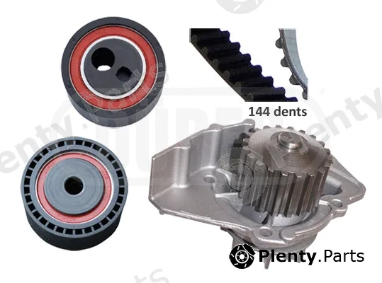 Dürer PA421082 — Water Pump & Timing Belt Kit