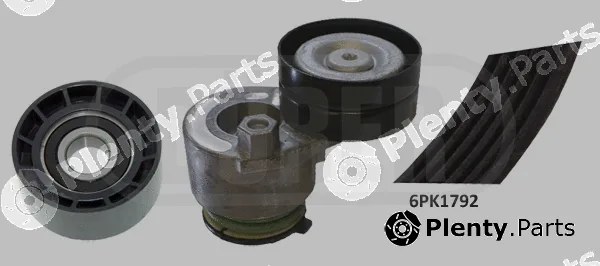 Dürer 263003 — V-Ribbed Belt Set