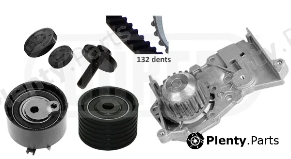Dürer PA161110 — Water Pump & Timing Belt Kit