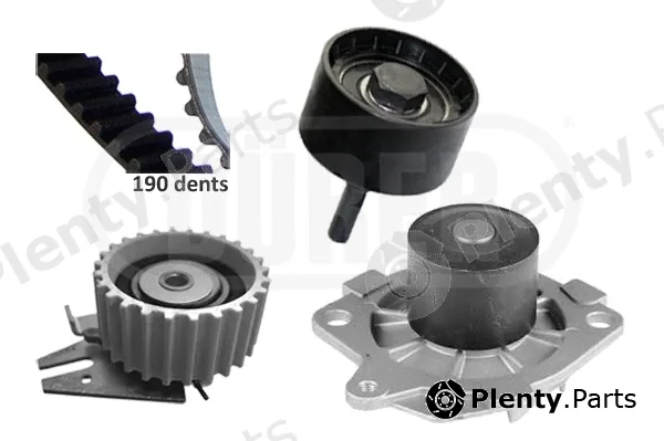 Dürer PA331134 — Water Pump & Timing Belt Kit