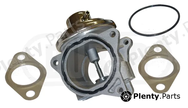 Dürer VR81118 — EGR Valve