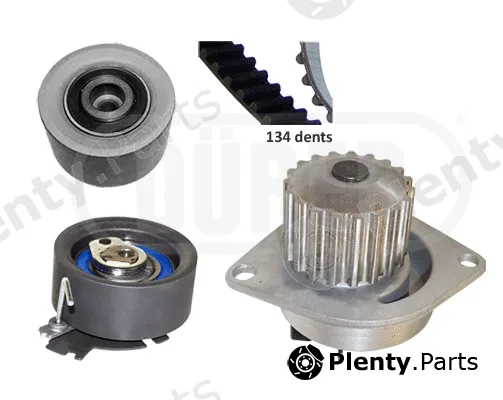 Dürer PA121159 — Water Pump & Timing Belt Kit