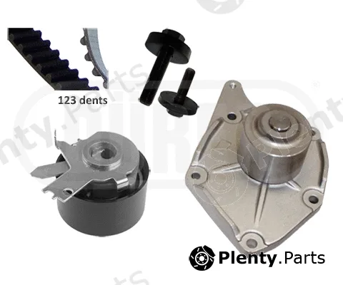Dürer PA161106A — Water Pump & Timing Belt Kit