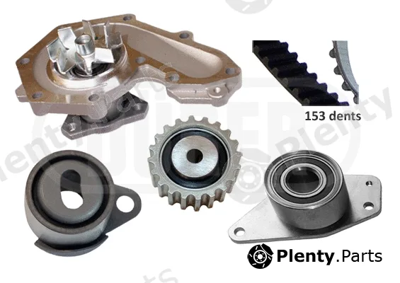 Dürer PA961050 — Water Pump & Timing Belt Kit