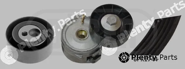 Dürer 423003 — V-Ribbed Belt Set