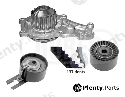 Dürer PA221108 — Water Pump & Timing Belt Kit