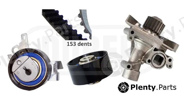 Dürer PA121104 — Water Pump & Timing Belt Kit