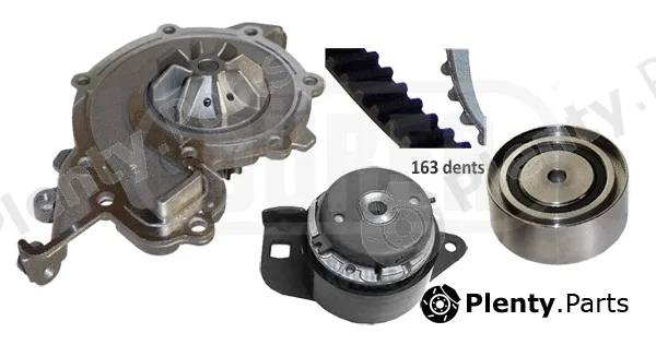 Dürer PA161091 — Water Pump & Timing Belt Kit
