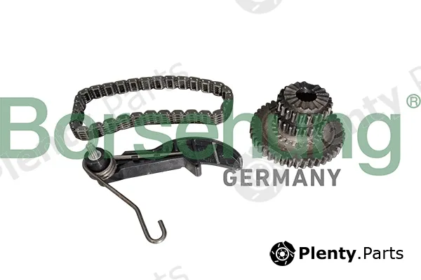 Borsehung B10218 — Timing Chain Kit