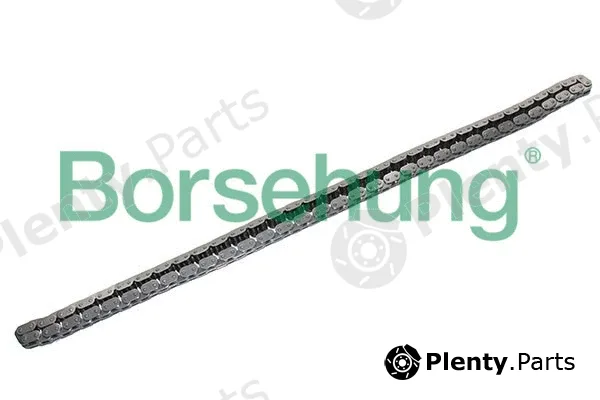 Borsehung B17877 — Timing Chain