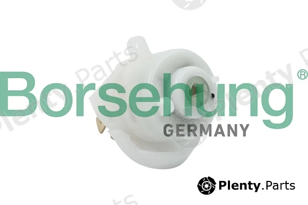 Borsehung B17987 — Ignition Switch