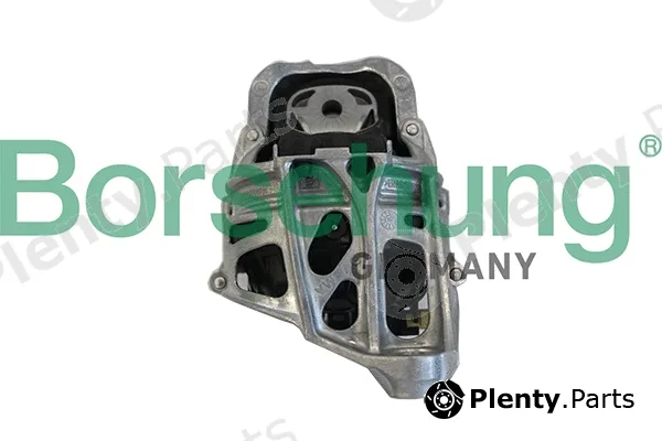 Borsehung B19201 — Mounting, engine