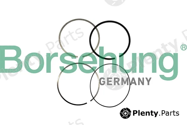 Borsehung B10361 — Piston Ring Kit